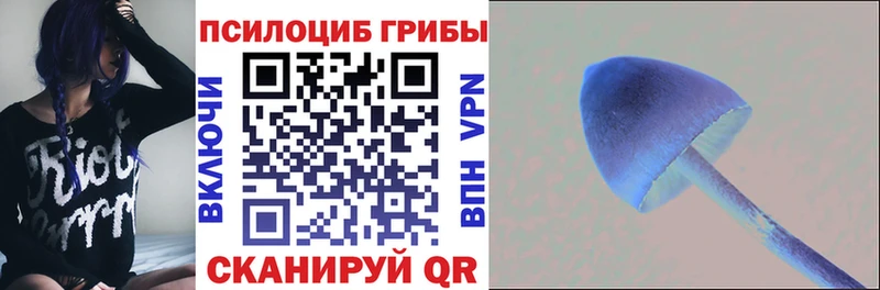 Галлюциногенные грибы Magic Shrooms  цены наркотик  Красный Холм 